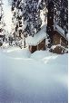 Cabin-snow