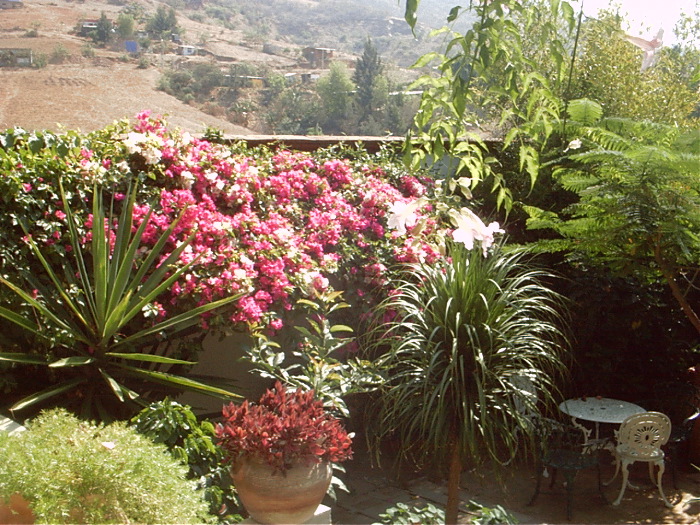 GardenF