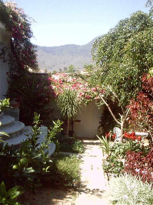 GardenF