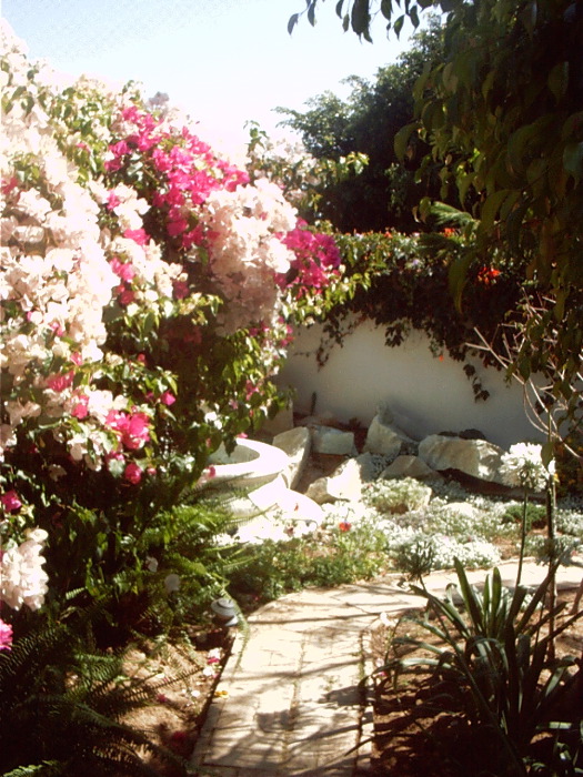 GardenF