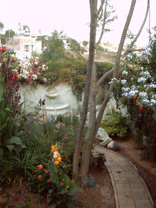 GardenF