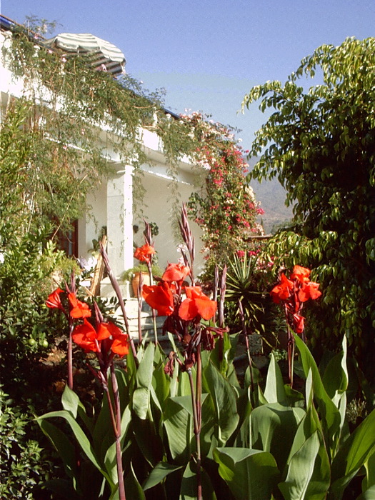 GardenF