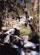 YosemiteT.038