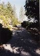 YosemiteT.039