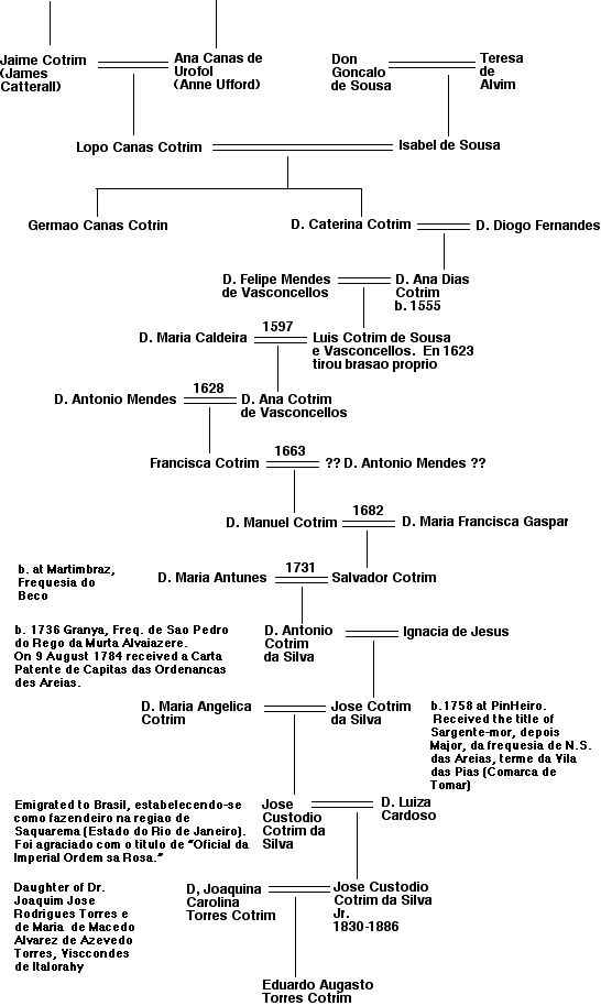 Brasil Cotrim family: genealogical tree